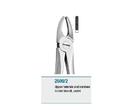 Anatomic Tooth Forceps English Pattern Upper Laterals and Cani