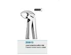 Anatomic Tooth Forceps English Pattern Lower Premolars either si
