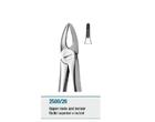 Anatomic Tooth Forceps English Pattern Upper Roots and Incisors