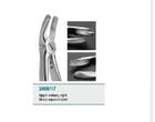 Blades Beaks Forcep Secure, Grip Profiles Anatomic Handles, Uppe