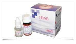 Glass ionomer base lining cement