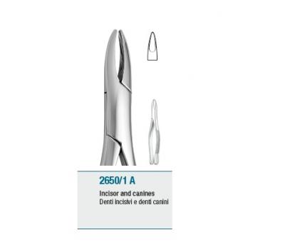 Tooth Forceps American Pattern Incisors and Canines