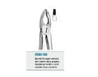 Anatomic Tooth Forceps English Pattern Special for Upper Central