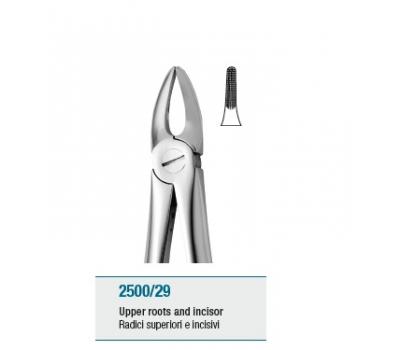 Anatomic Tooth Forceps English Pattern Upper Roots and Incisors
