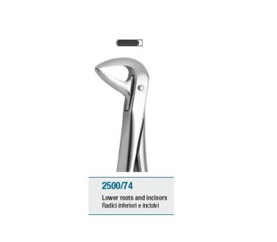 Anatomic Tooth Forceps English Pattern Lower Roots and Incisors